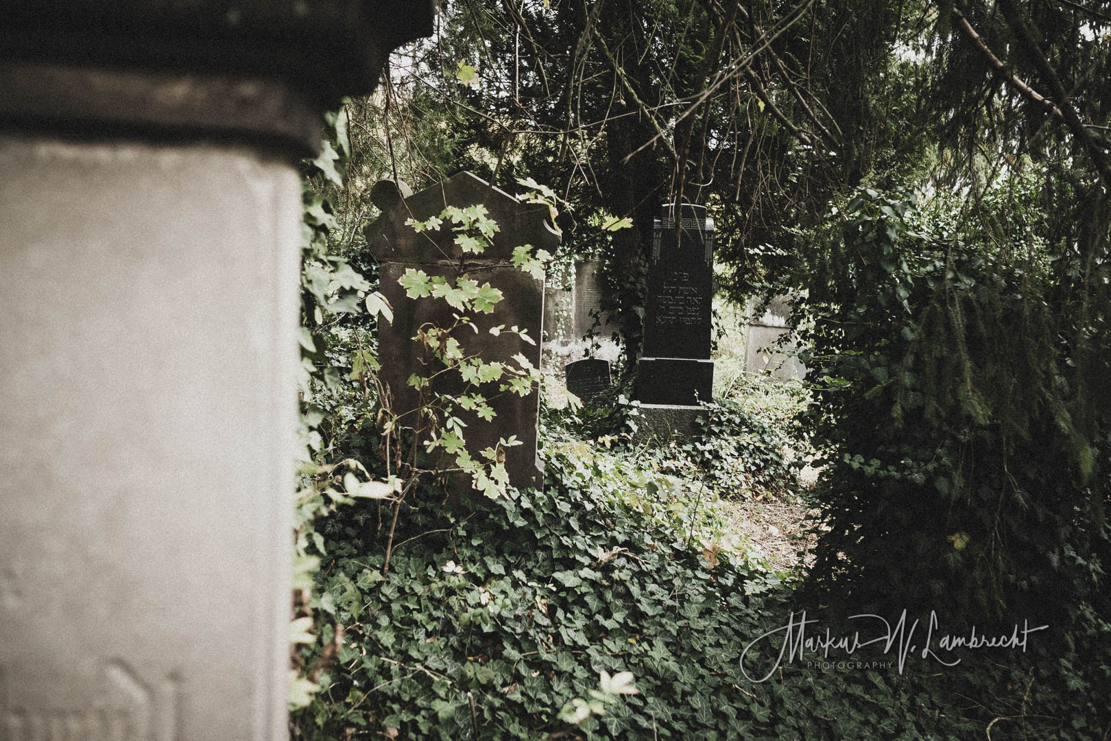 Rimbeck, Jüdischer Friedhof